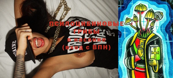 твердый Алексеевка